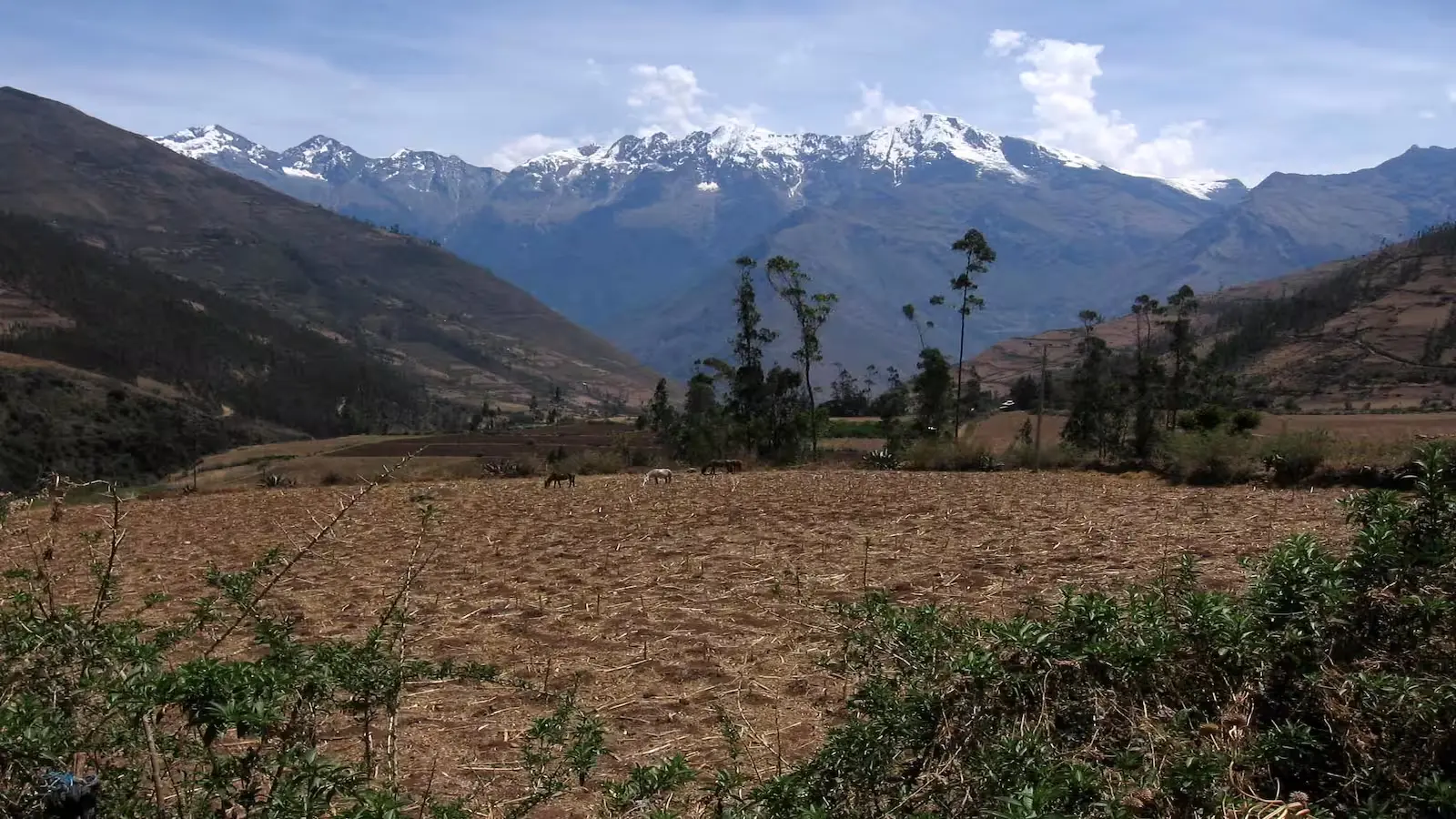 Tour a Choquequirao 4 Días-3 Noches 